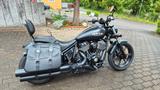 Indian Chief Dark Horse - INDIAN CHIEF DARK HORSE