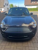 MINI Cooper Cabrio Cooper - MINI Cooper Cabrio: Braun