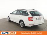 Skoda Octavia 1.5 TSI ACT Style*TEMPO*PDC*SHZ* - Skoda Octavia Gebrauchtwagen in Rostock