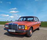 Mercedes-Benz Typ 200 D - Mercedes-Benz aus 1981 mit Diesel-Antrieb