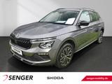 Skoda Kamiq 1,0 Selection Design Paket Loft Matrix-LED - Skoda mit Benzin-Antrieb: Coupé
