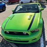 Ford Mustang US-Model - Ford Mustang: Privatanbieter
