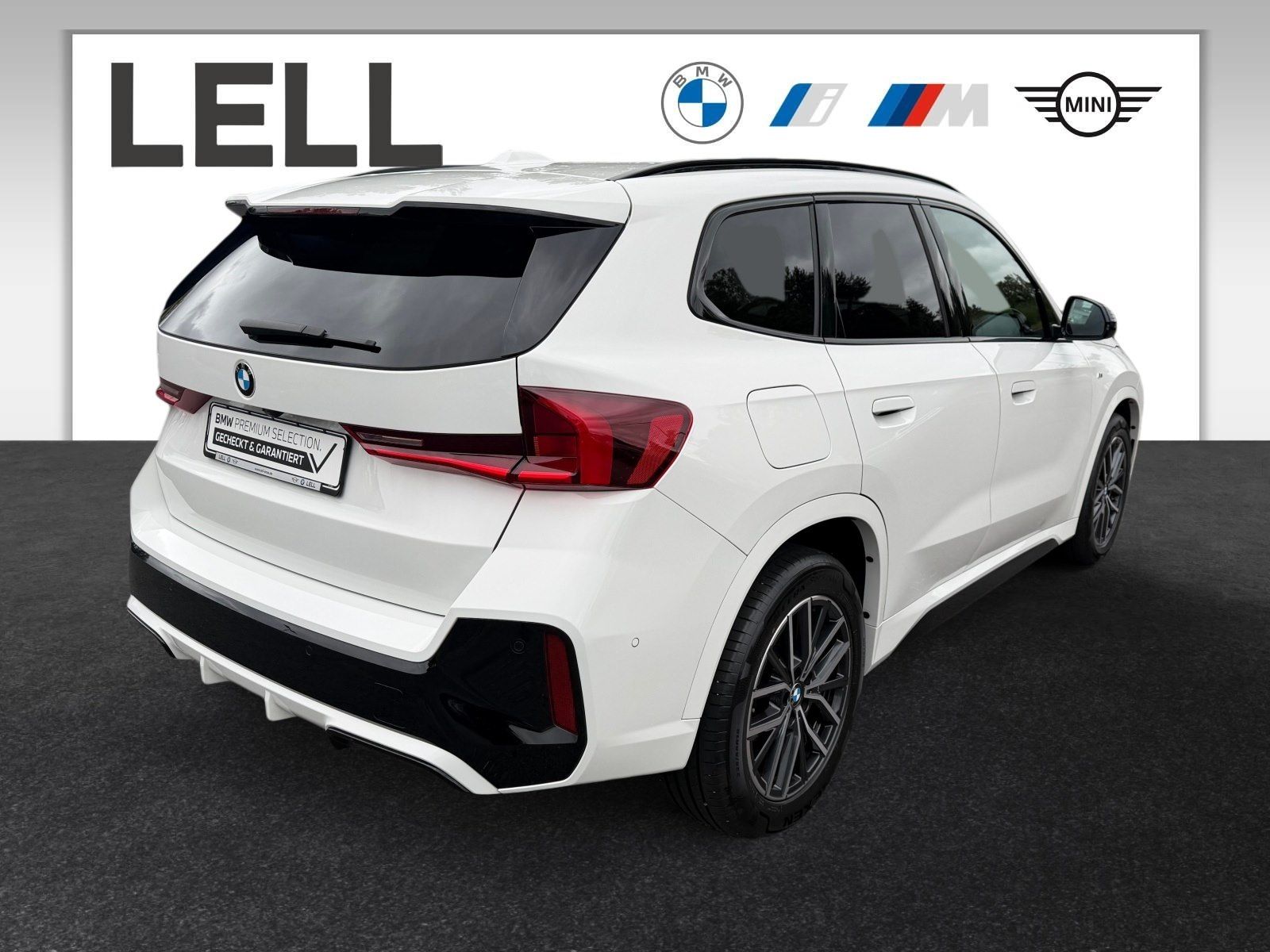 BMW X1 sDrive18i SAV M Sportpaket DAB Parkassistent foto 2