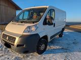 Fiat Ducato - gebrauchte Fiat Ducato aus dem Jahr 2010