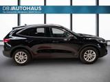 Ford Kuga Titanium 2.5 DuraTec FHEV Automatik 4WD AHK - Ford Kuga Gebrauchtwagen in Bielefeld
