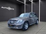 Mercedes-Benz GLK 250 CDI BlueTec 4Matic Leder Navi Kamera Mem - Mercedes-Benz GLK 250 Gebrauchtwagen