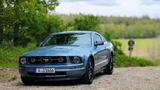 Ford Mustang - gebrauchte Ford Mustang aus dem Jahr 2008