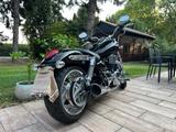 Triumph Thunderbird  - Angebote