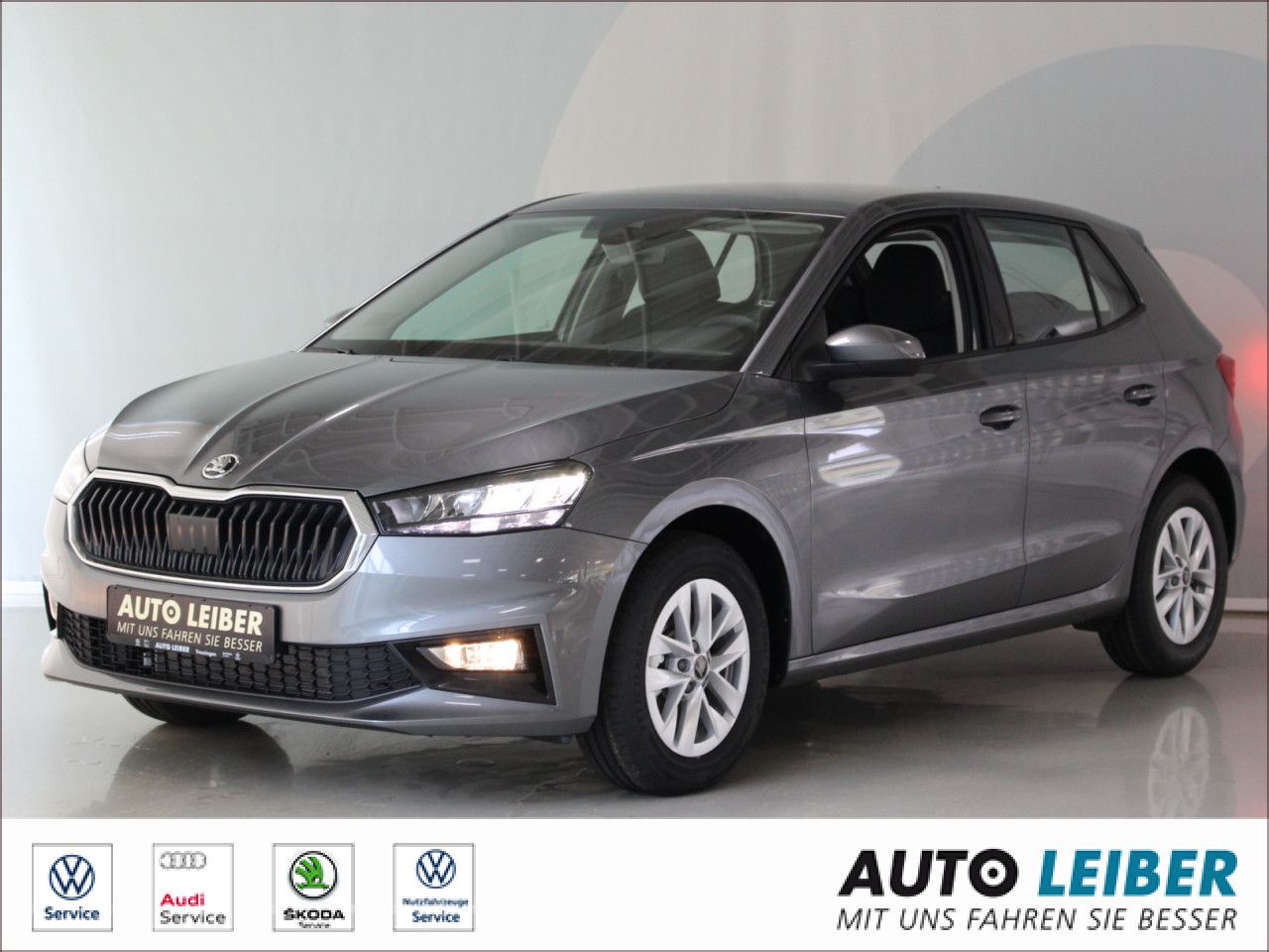 Fahrzeugabbildung SKODA Fabia 1.0 TSI Selection RFK/APP/SHZ/LANE