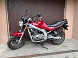 Suzuki GS 500 E - Offers