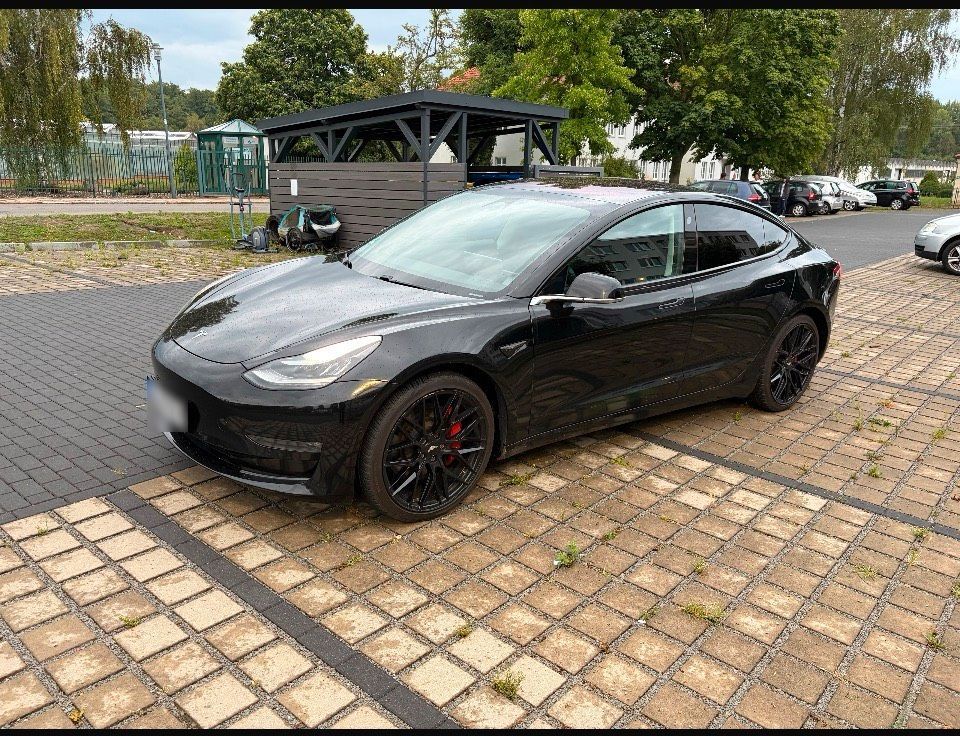 Image of Other Other