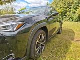 Lexus UX 250h Style Edition Style Edition - gebrauchte Lexus SUV & Geländewagen