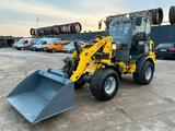 Weidemann Wacker Neuson WL37 - Weidemann LKWs