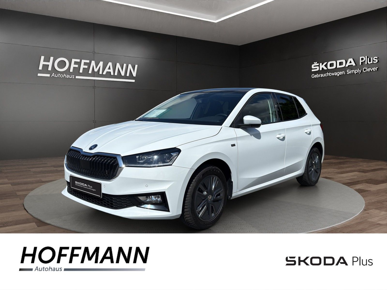 Fahrzeugbild von Skoda Fabia