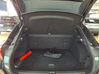 Cupra Terramar - Vorschau Bild 10