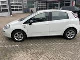 Fiat Punto 1.2 8V - - Fiat Punto von privat