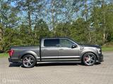 Ford www.terpautos.nl - graue Ford F 150