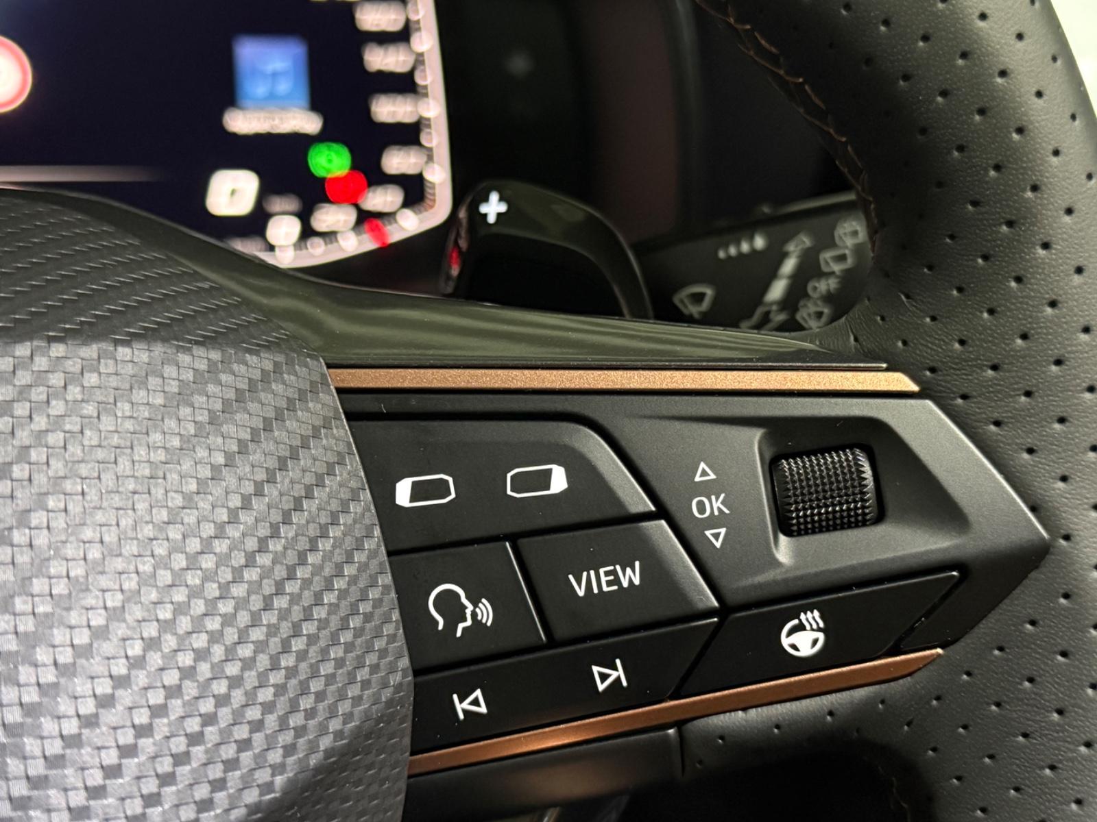 Cupra Formentor AUT ACC RKAM Carpl LKA PANO AHK Vcock, миниатюра 28