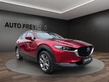 Mazda CX-30 140PS Exclusive-Line 360°+KLIMA+MATRIX-LED - Mazda CX-30 Exclusive-Line mit Hybrid-Antrieb (Benzin/Elektro)