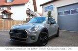 MINI ONE,The next 100years,Klimaauto.,Sitzh.,PDC - MINI MINI: 1.1
