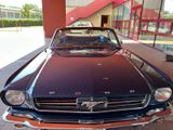 Ford MustangV8Cui289,Cabrio,Bj65,GA2 - Ford Mustang aus 1965 mit Benzin-Antrieb: Cabrio