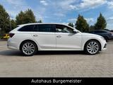 Skoda Octavia 2.0 TDI DSG *Headup*Auto*Mem*Kamera*AHK* - Skoda Octavia: Winterreifen