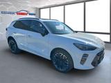 Cupra Terramar 4x4 VZ DSG AHK NAV Matrix Pano Voll 27% - mit Benzin-Antrieb: Weiß, Schiebedach, Geländewagen