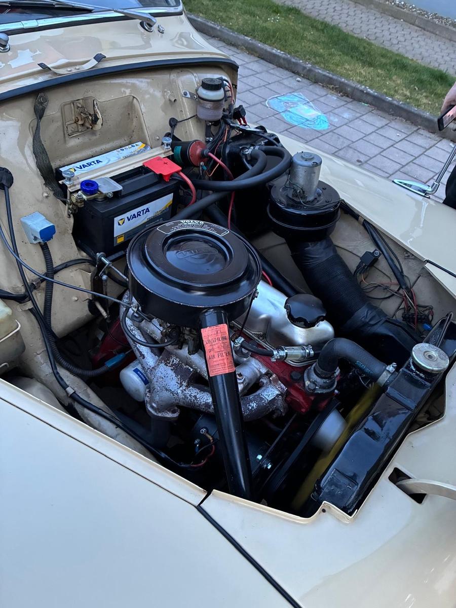 Volvo PV 544 (Buckelvolvo) Oldtimer 