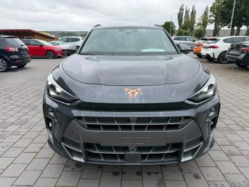 Cupra Terramar - 2