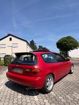 Honda Civic EG 3 - Honda Civic: Eg