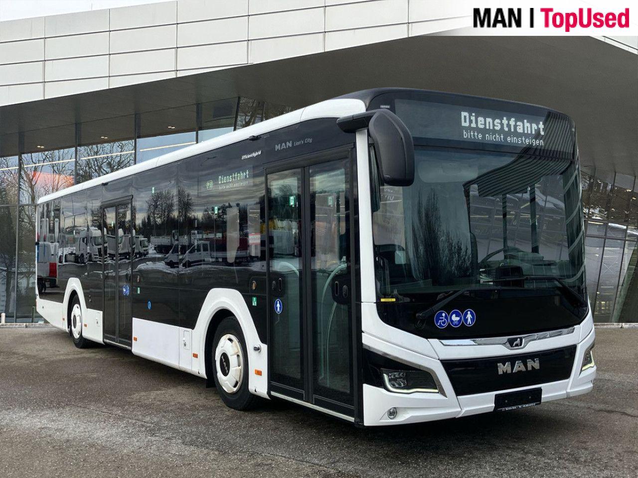 MAN LION'S CITY / 12C