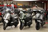 SYM Fiddle 125 - Angebote