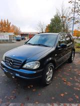 Mercedes-Benz Mercedes ML 320 Benziner 4X4 - Mercedes-Benz ML 320 aus 2001
