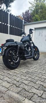 Harley-Davidson IRON 883 - Motorräder in Wiesbaden