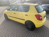 Skoda Fabia Cool Edition 1,2 TSI Klima ZV 74TKM - Skoda Fabia: Gelb