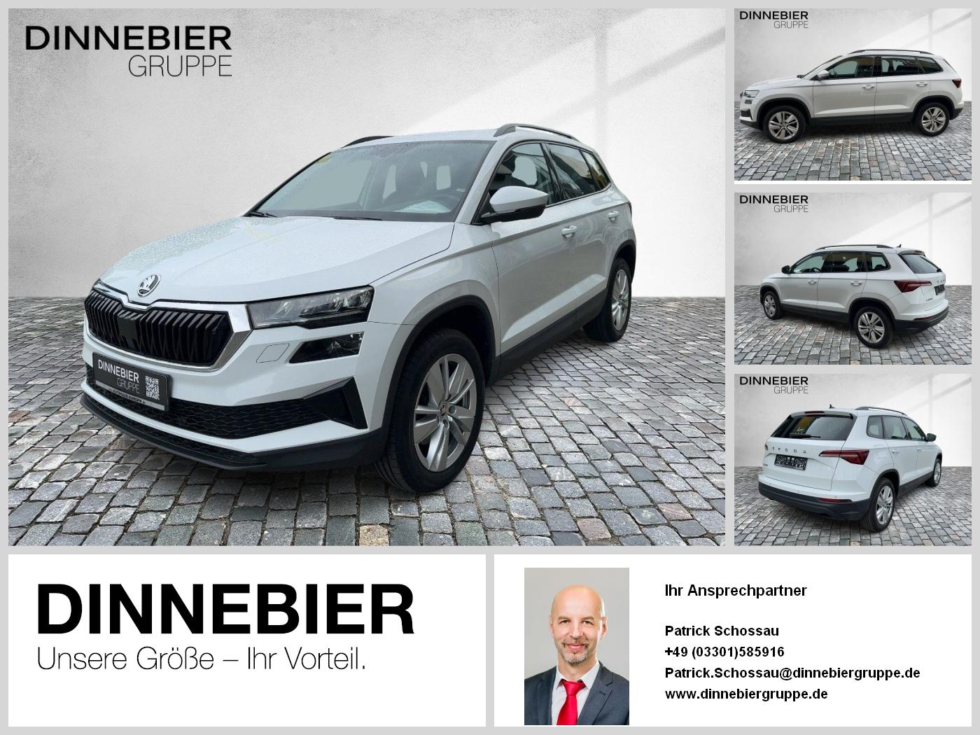 Skoda Karoq Ambition CAM LED NAVI AHK PDC