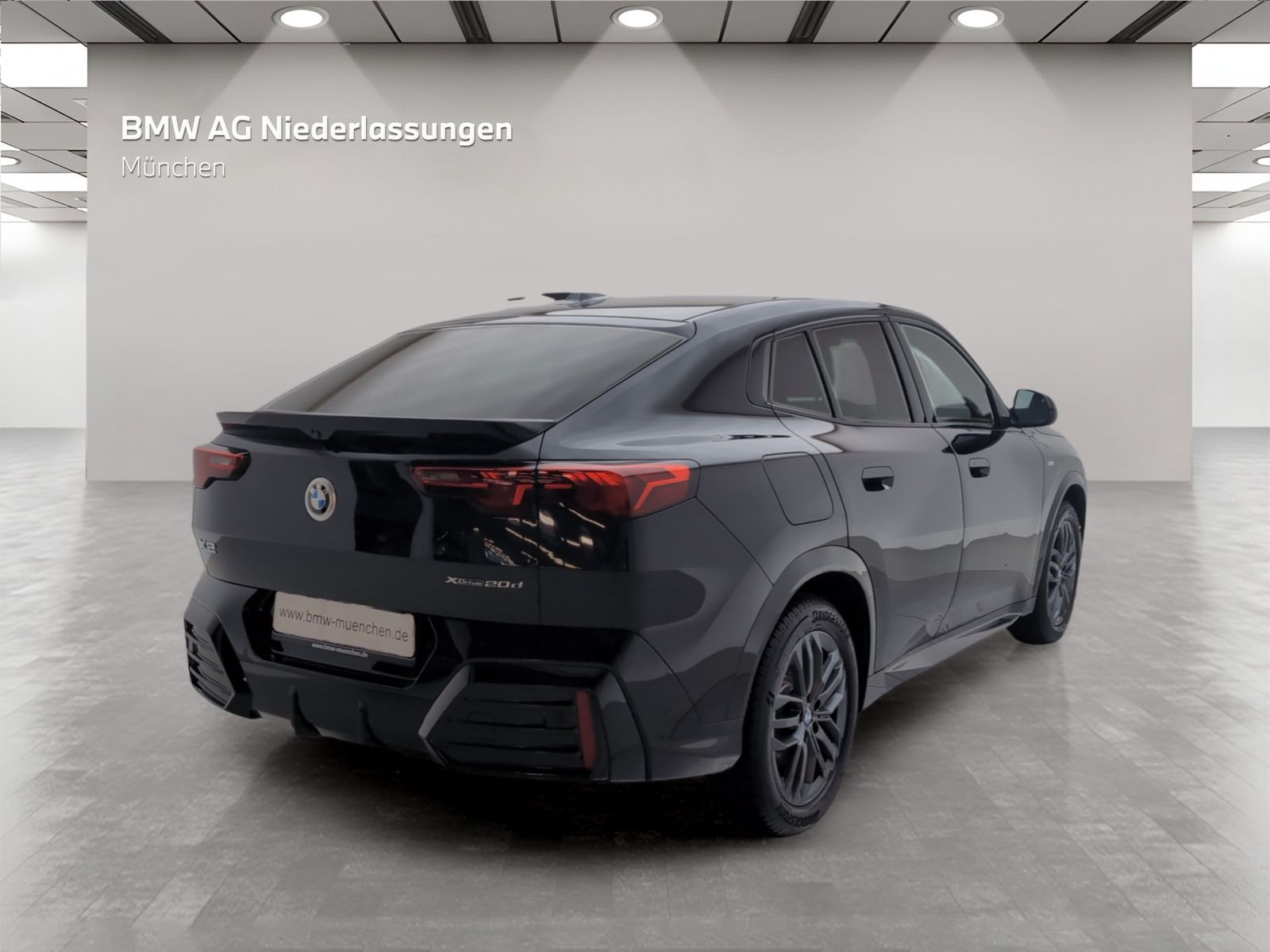 BMW X2 xDrive20d M Sport AHK Driv.Assist Harman K foto 5