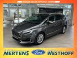Ford S-Max Vignale 2.0 Kamera AHK Sitze klimatisiert  - Ford S-Max in Hamm