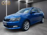 Skoda Fabia 1.0 TSI Green tec Style / Automatik - Skoda Fabia: 1.0