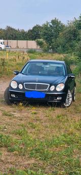 Mercedes-Benz Mercedes W211 E240 V6  LPG Lim. - Mercedes-Benz E 240 mit LPG-Antrieb