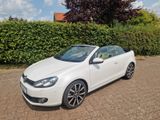 Volkswagen Golf 2.0 TDI DSG BMT Exclusive Cabriolet Exc... - Volkswagen Golf mit Diesel-Antrieb: Cabrio, 2.0