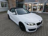 BMW 218-i Cabrio Sport Line AT*LED*SH*PDC*NAVI - BMW 218: I