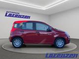 Fiat Panda Mild Hybrid 1.0 70PS Klima DAB Spurhalteas - Fiat Panda aus 2025