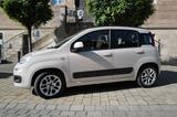 Fiat Panda Panda 1.2 Lounge - gebrauchte Fiat Panda aus dem Jahr 2016
