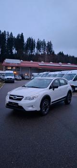Subaru XV Active 1,6i/Allrad 4x4/Klima/8-fachbereiftAlu - weiße Subaru XV