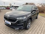 Skoda Kodiaq 190PS Sportline 4x4 7-Si Panorama Leder - Skoda Kodiaq PS7