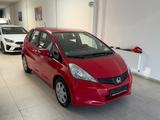 Honda Jazz 1.4 Trend /1.Hand mit Garantie/ - Honda Jazz in Hagen