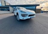 Porsche Cayenne 3.0 TDI 92A - Porsche Cayenne 92a Gebrauchtwagen