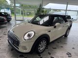 MINI COOPER_D Cabrio Cooper D Navi LED - MINI Cooper D aus 2016