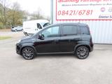 Fiat Panda Sport 1,0 Hild-Hybrid 70 PS Schwarz - Fiat Panda: Sport